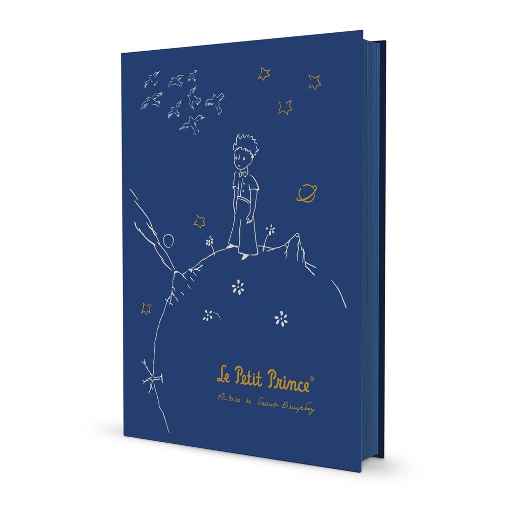 Grupo Erik Le Petit Prince - The Little Prince Premium A5 Carnet de notes - Multicolore